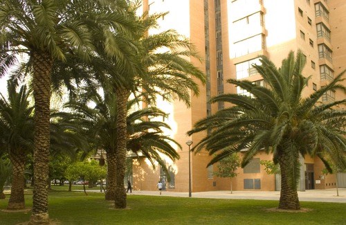 Campanar Hotel | Apartamentos Plaza Picasso