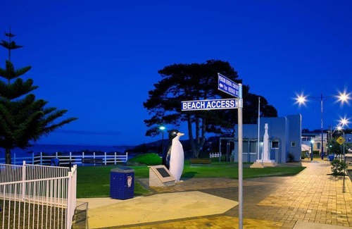 Penguin Hotel | Penguin Waterfront Escape