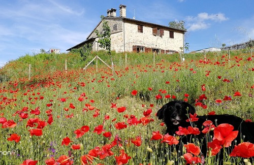 Acqua Loreto Hotel | Casale le Orme