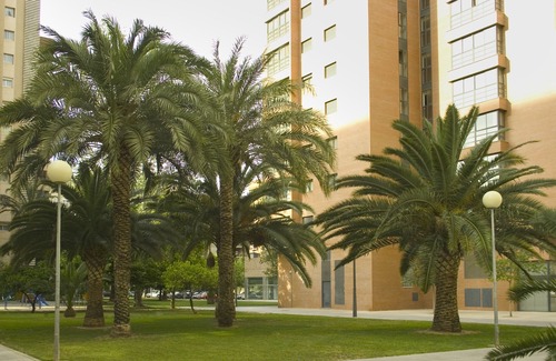 Campanar Hotel | Apartamentos Plaza Picasso
