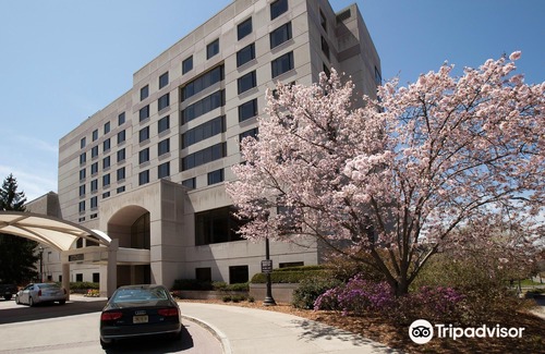 Cornell Botanic Gardens Hotel | The Statler Hotel at Cornell University