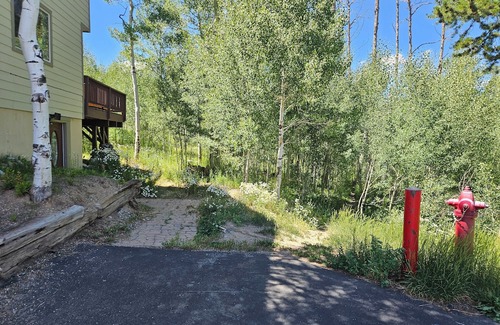 Wildernest Apartment | Summit Co. 1BR /1 BA Hiking & Skiing Paradise