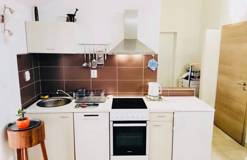 Gornje Selo Apartment | Apartment Nick - with barbecue - Gornje Selo, Island Solta, Croatia