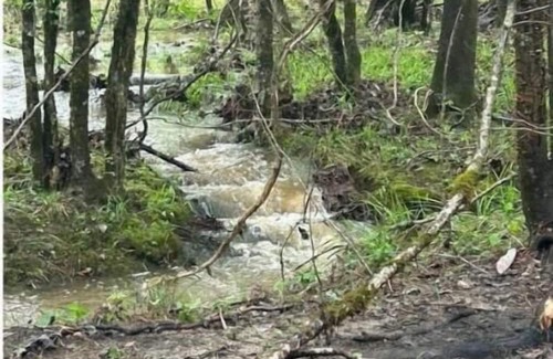 Forest Home RV Rental | Stock Law Gap Campground