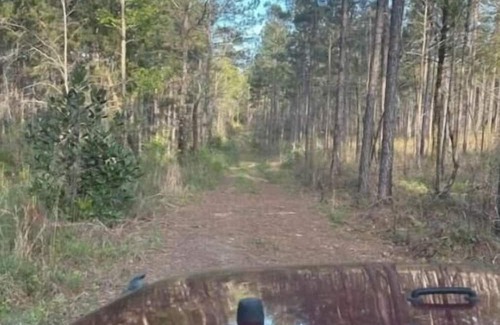 Forest Home RV Rental | Stock Law Gap Campground