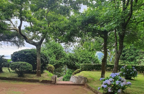 Faial Da Terra House | Casa do Monte
