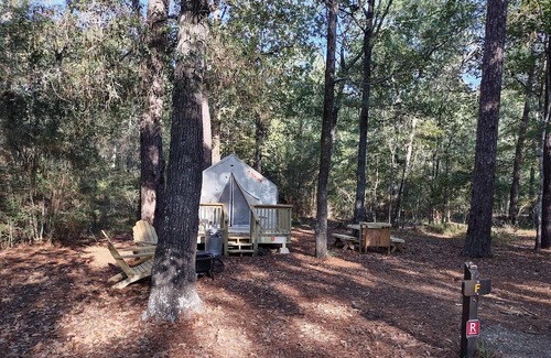 West Livingston RV Rental | Tentrr State Park Site - Texas Lake Livingston State Park - Site B - Single Camp