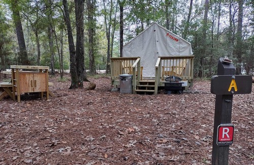 West Livingston RV Rental | Tentrr State Park Site - Texas Lake Livingston State Park - Site A - Single Camp