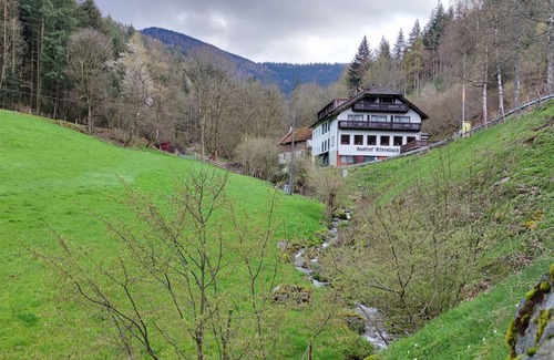 Waldkirch Apartment | Apartment 'Kandelbleibe' with Balcony and Wi-Fi