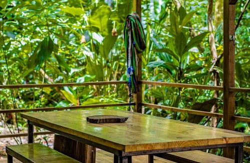 Bocas del Toro Cabin | Tiny home nestled in the jungle near surf, snorkel, and wildlife in Bocas.