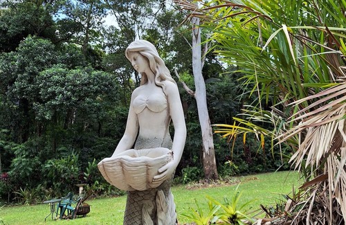 Cow Bay House | creek, close to beach, cassowaries, acreage, rainforest, swimming holes