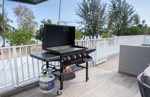 Dorado Pueblo Apartment | Beachfront Apt6 2BD/2BTH Oceanview Priv. Ter Pool