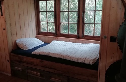 Alzenbach Cabin | Circus wagon star tent