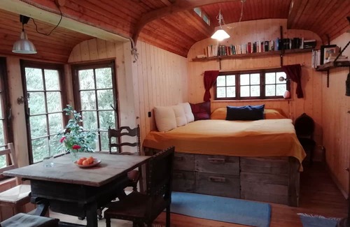 Alzenbach Cabin | Circus wagon star tent