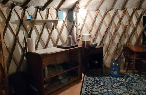 Brownfield Other | Allie Mae Yurt nestled in the woods
