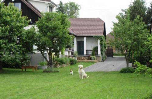 Kovacovce Bed & Breakfast | Moongarden apartment