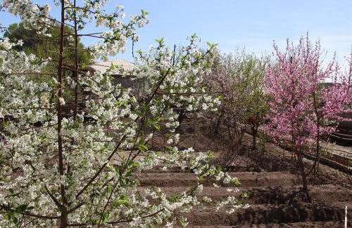 Xorazm Province House | ウズベキスタンの最北西にある村で異文化体験ができる民泊「チョギルマ」