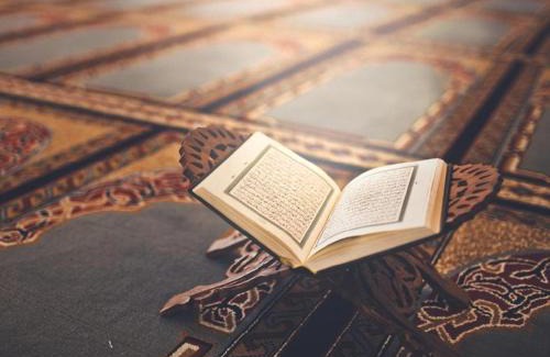 Jambelaer Villa | Villa Home