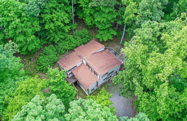 Turtle Pond- The cabin with it all!