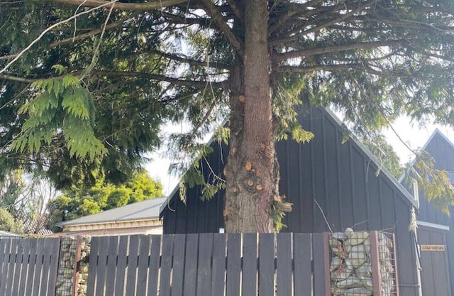 Southfork - New York Loft meets Methven Cabin