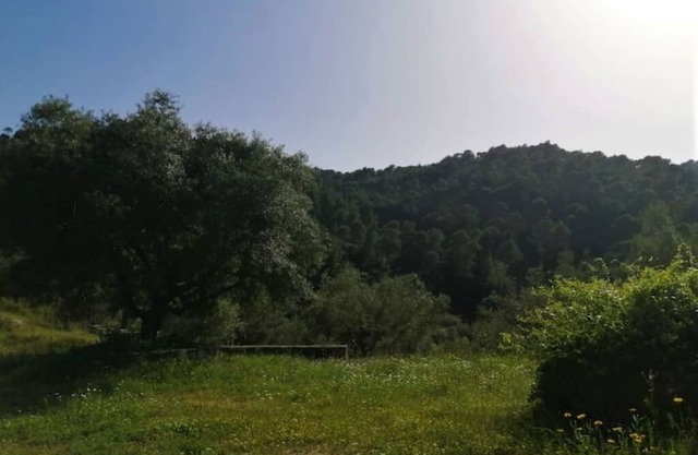 wood & stone dream view house A