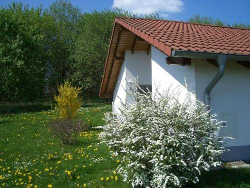 Holiday home Feriendorf Uslar 3