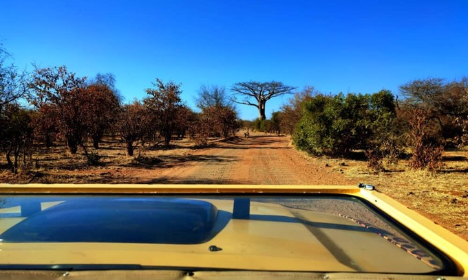 Victoria Falls House | Zambezi Boutique Lodge, 2 Suites ask for our free Savannah Adventures 4x4 Safari