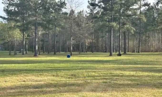 Forest Home RV Rental | Stock Law Gap Campground