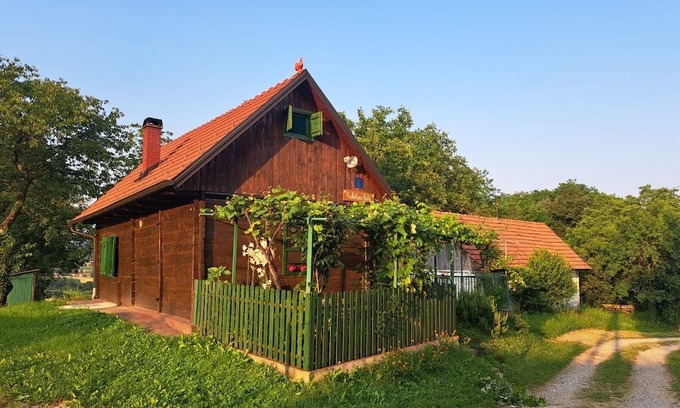 Konjscina House | Family friendly house with a parking space Klimen, Zagorje (K-22039)