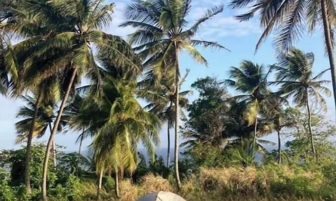 Newcastle RV Rental | Camping Barbados #1 Bring Your Own Tent